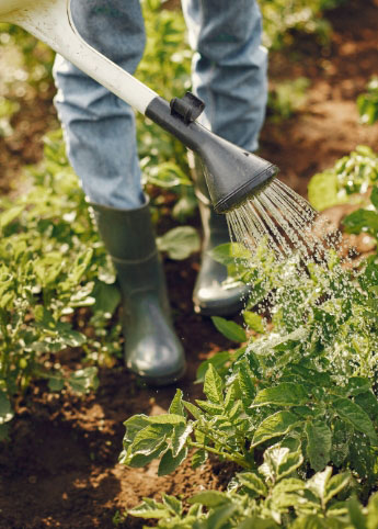 Entretien de jardin par BLANIC PAYSAGISTE